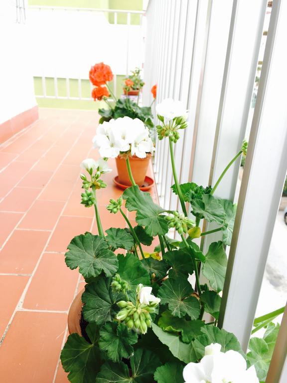 Axarquia Apartments Nerja Eksteriør bilde